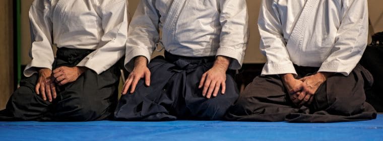 ביטוח אחריות מקצועית למאמן אייקידו