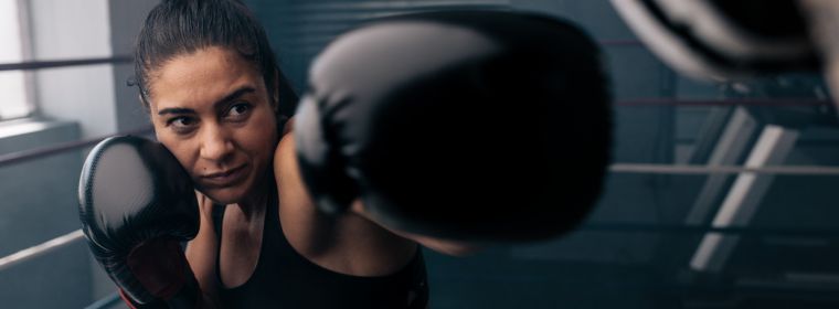 ביטוח אחריות מקצועית למדריך אגרוף