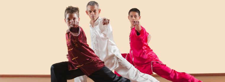 ביטוח אחריות מקצועית למדריך קונג פו