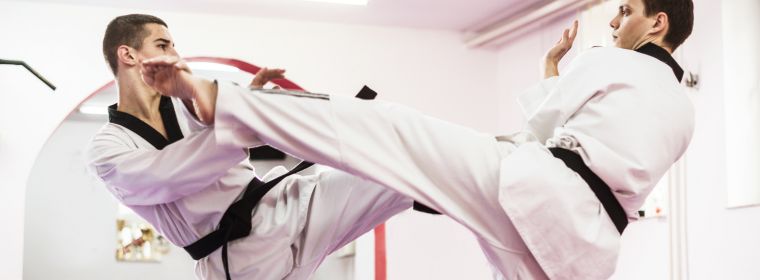 ביטוח אחריות מקצועית למדריך טאקוונדו